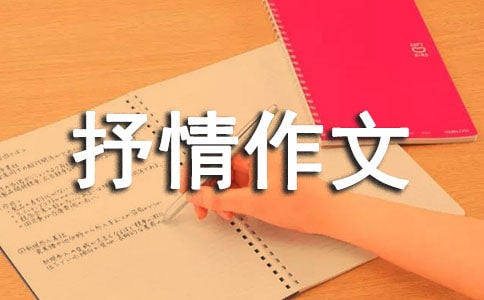 初中写人抒情作文600字
