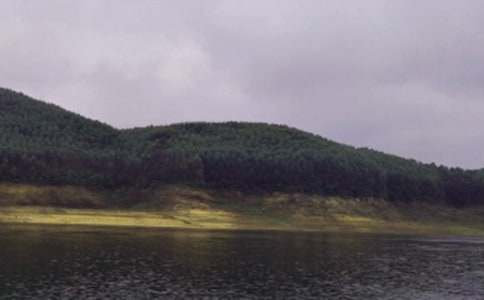 ˮ��ι�ʵѵ�ĵ����