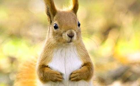 �����󡷽�ѧ���