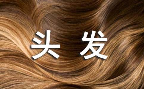 我与头发之间的对话想象作文(精选39篇)