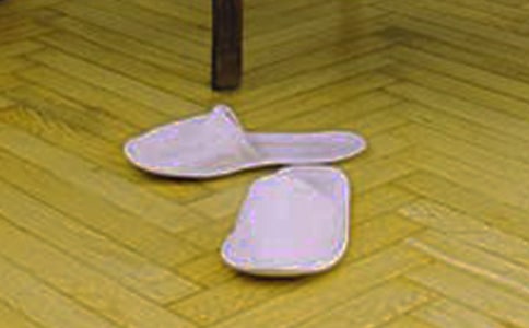 拖鞋飞进了汤碗里_小学写人记事作文