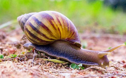 ��ţ״������[����15ƪ]