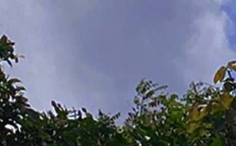 ���õ��簲΢���ʺ���37��