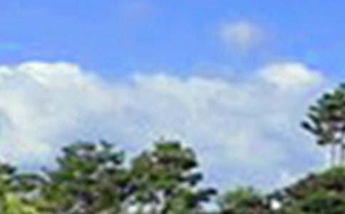 �������簲�ʺ���43��