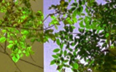 Ψ�����簲΢���ʺ���61��