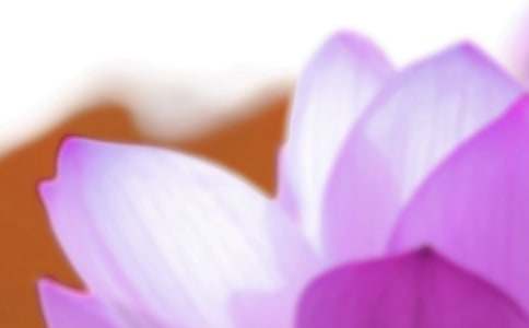 2026�������ʺ���26��