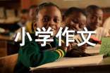 我的小学作文(优秀)