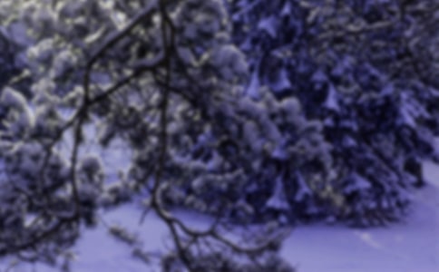 小班小雪节气教案模板(精选5篇)