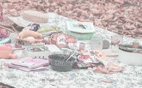 Ұ��Сѧ����14ƪ