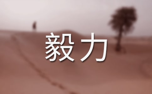 有关毅力的名言警句集锦