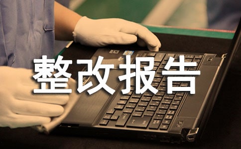 关于劳动纪律自查整改报告(通用17篇)