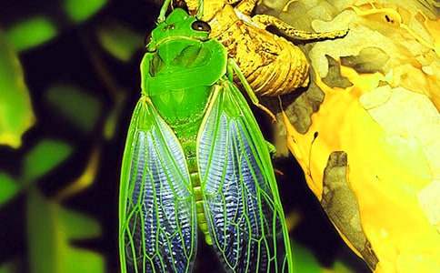 ֪��Сѧ����300����ƪ