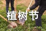 【推荐】植树节活动方案范文汇编5篇