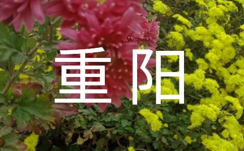 重阳佳节祝福语15篇