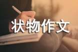 【推荐】三年级状物作文三篇