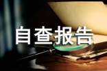 企业自查报告模板