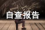 纳税自查报告