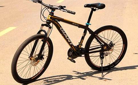 ��ѧ���������г�-��������