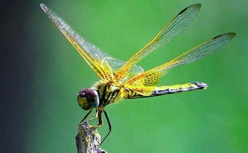 ���ڡ������ѡ��̰�3ƪ