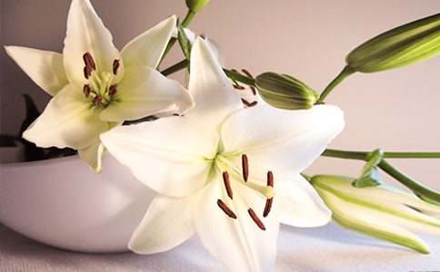 �ٺϻ�˵�θ壨��ѡ16ƪ��