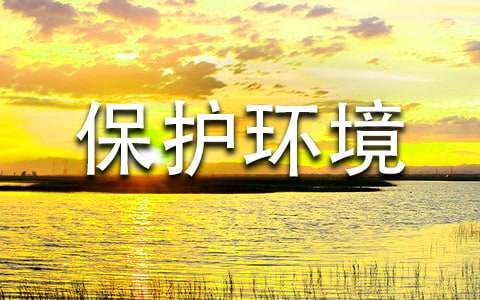 �������������鷶��[�Ƽ�]