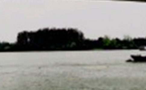 ������֮�衷��ѧ��ơ���ѡ15ƪ��