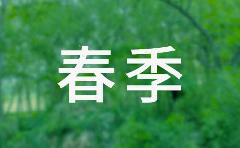 ����ѡ�����������ƻ���ƪ