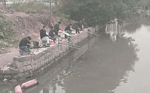 ������������