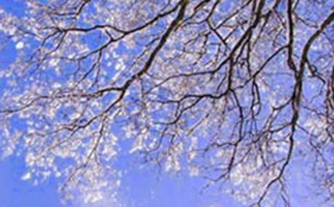 �йض���д��������300�ֻ��7ƪ