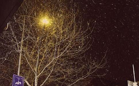 ����д������300��6ƪ