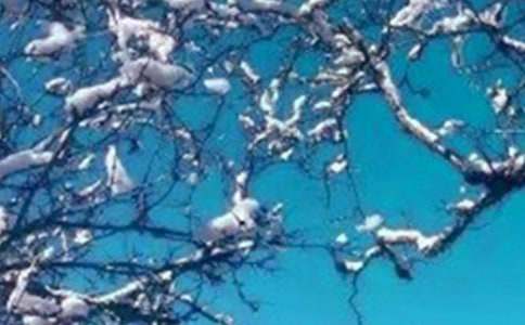 冬天的雪景高中优秀作文