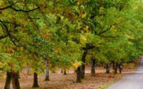 ���ر������з羰����3ƪ