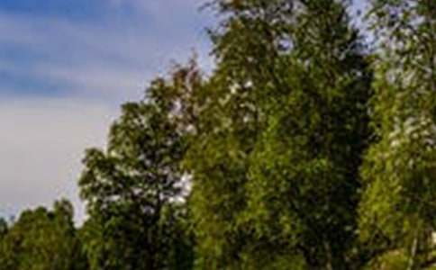 风景园林工程师工作总结5篇