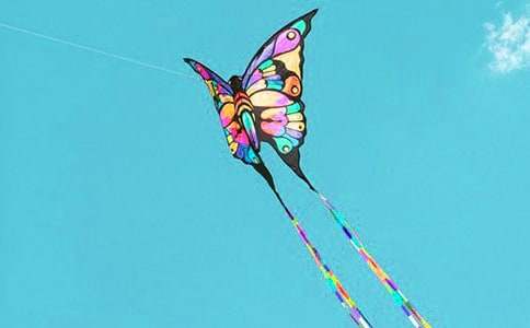 ������ķ��ݡ��̰�