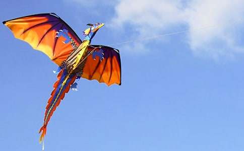 �ŷ�����������15ƪ