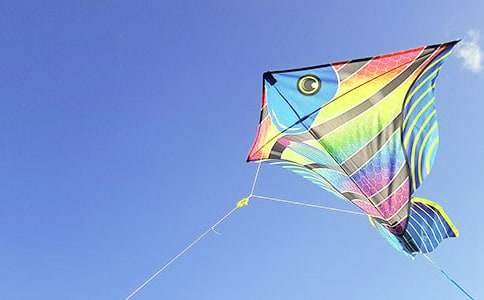 ���꼶�����ݡ��̰�