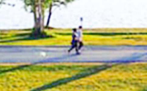 ʵ�õĹ�԰д�����ĺϼ�ʮƪ