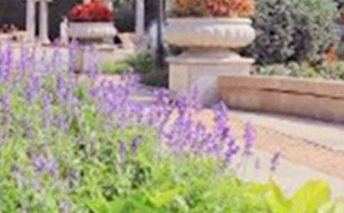 �οƻù�԰����