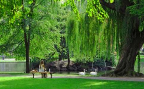 �ƻù�԰����(6ƪ)