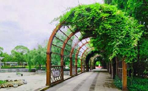 ��������ʪ�ع�԰��չ���蹤����֪ͨ