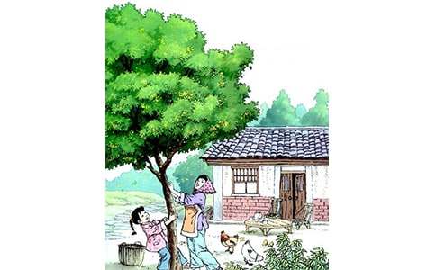 �����꡷�̰�����ѡ17ƪ��