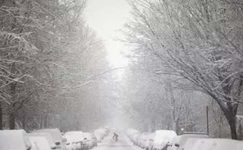 ��ѩ��������Ӧ��Ԥ��