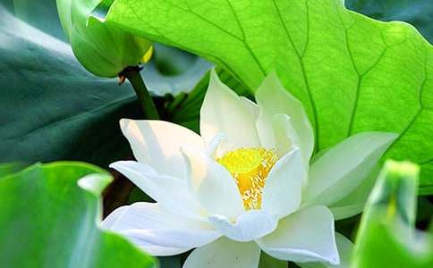 �ɻ�����ѧ��˼