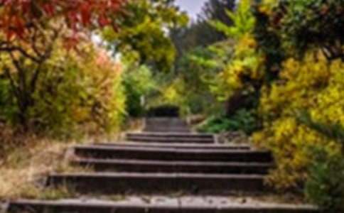 �����˵Ļ�԰����ѧ���(����15ƪ)