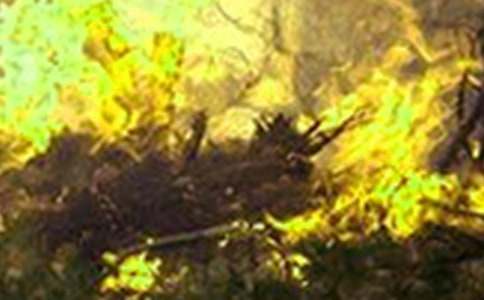 Ԥ�������ĵ���ᣨ��ѡ18ƪ��