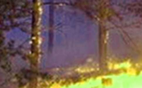 �����䣩���ַ�����Ӧ��Ԥ��15ƪ