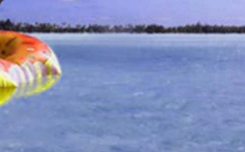 ������������ĵ���ᣨͨ��15ƪ��