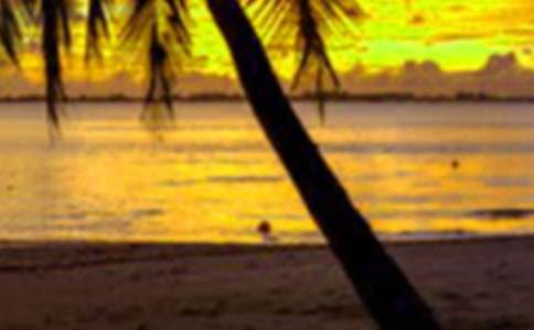 初中假期生活作文集锦5篇