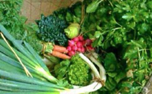 Сѧ������˯�߽̰�����ѡ7ƪ��