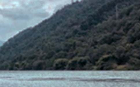 д��ɫ�����ķ���[9ƪ]